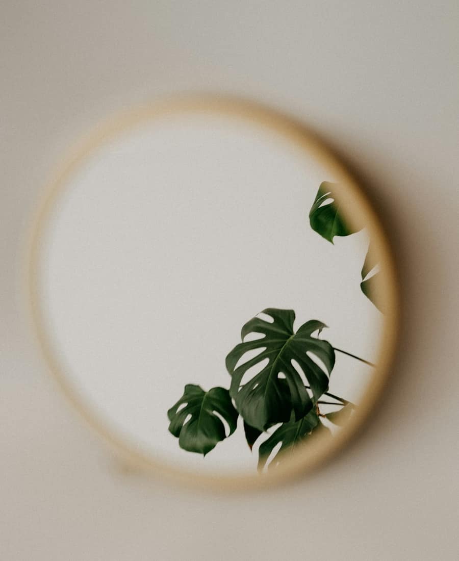 Matte White Circle Mirror