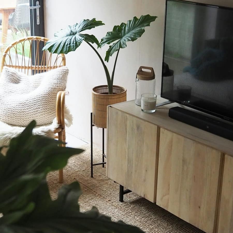 Rattan Plant Stand