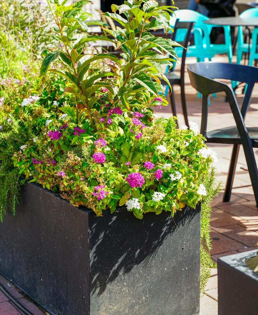 Weathered Planter Trio
