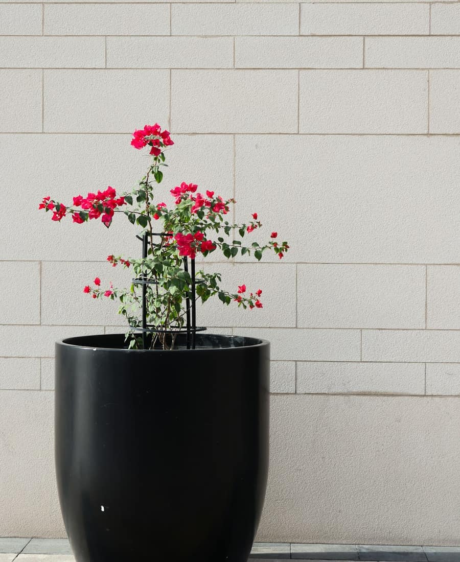 Ceramic Garden Orb